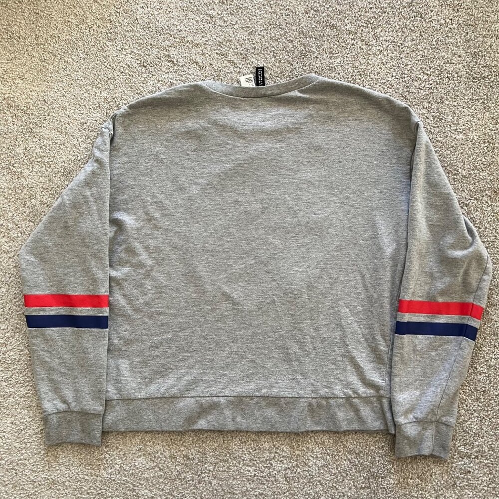 NASA Lightweight Gray Pullover Sweater with Blue and Red Stripes M - Picture 2 of 6